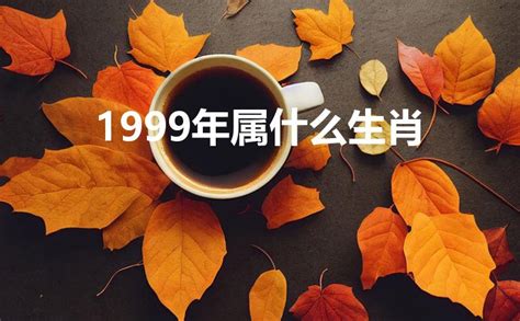 1999年1月生肖|生肖查询：1999年属什么生肖？